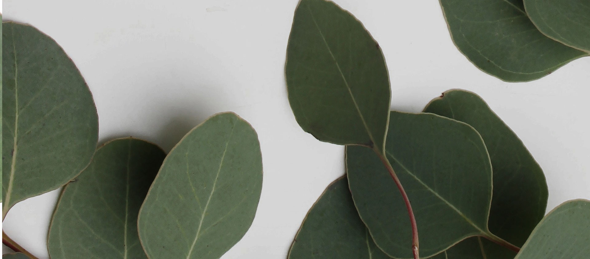 Взыскание ущерба от экологических правонарушений в Боровске